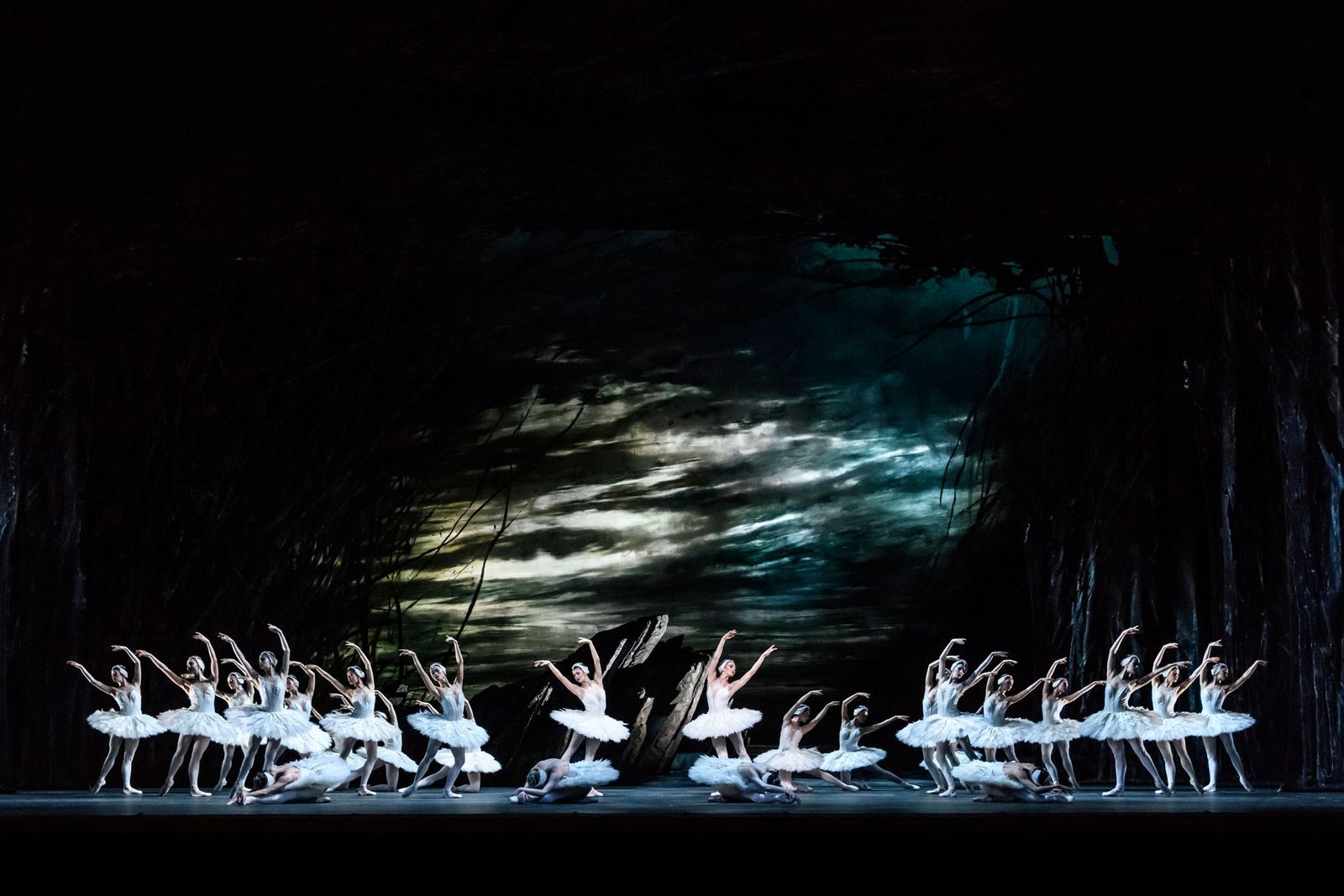 Swan lake парк горького. Кордебалет Лебединое озеро. Балет Лебединое озеро Ковент Гарден. Лебединое озеро балет арт. Лебединое озеро Роял опера.