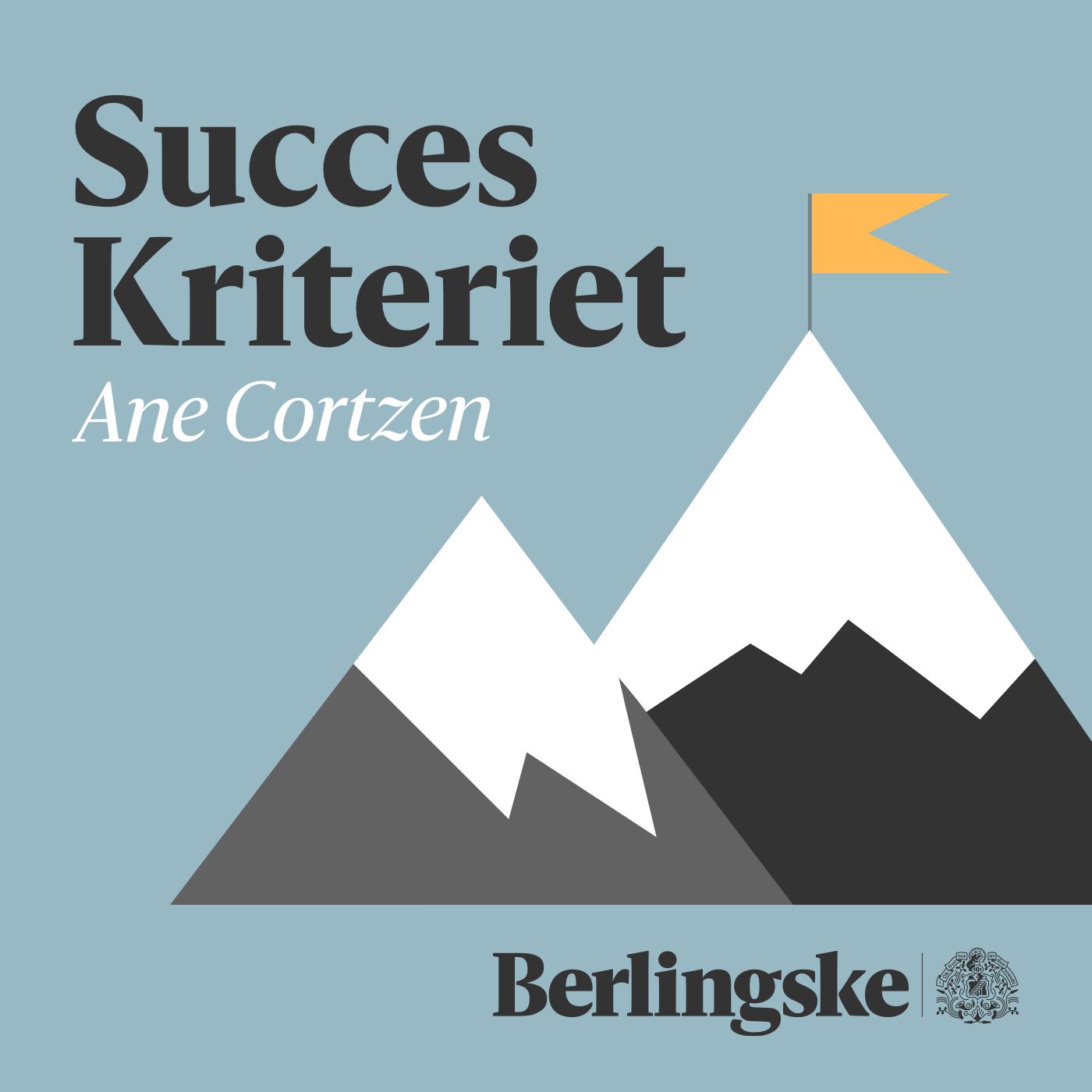 Berlingske_succes_kriteriet.png